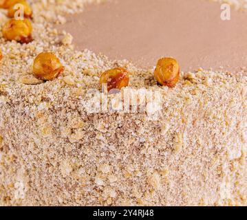 Kyiv cake with hazelnuts, chocolate glaze, and a buttercream-like filling Stock Photo