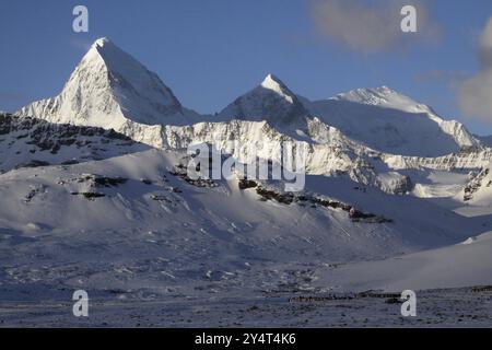 Landscape around St Andrews Bay, South Georgia, Antarctica, South Georgia, Antarctica Stock Photo