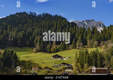 Traditional Swiss style houses on the green hills with forest in the Alps area of Switzerland Stock Photo