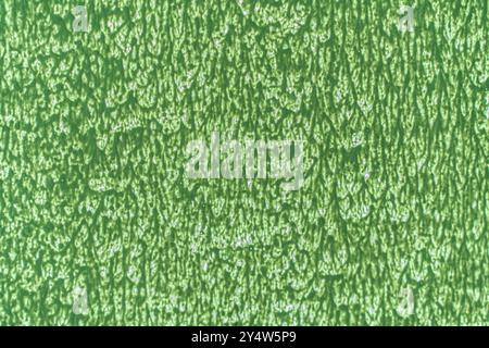 Green background texture of paint on glass. Light green color gradient background for printed works. High quality photo Stock Photo