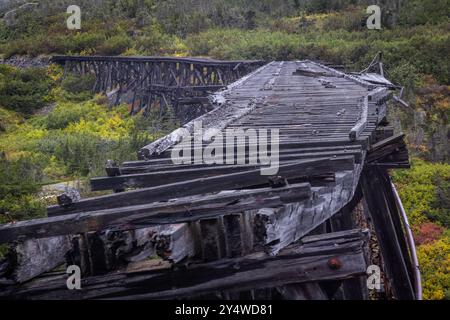 Collapsed bridge seen from the White Pass-Yukon Route railroad in Alaska Stock Photo