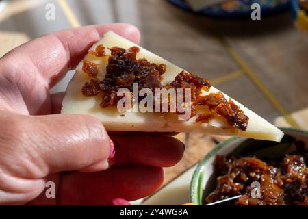 Cheese collection, Spanish matured cheese and onion chutney close up in sunlights Stock Photo