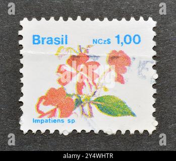 Cancelled postage stamp printed by Brazil, that shows Impatiens sp., circa 1989. Stock Photo