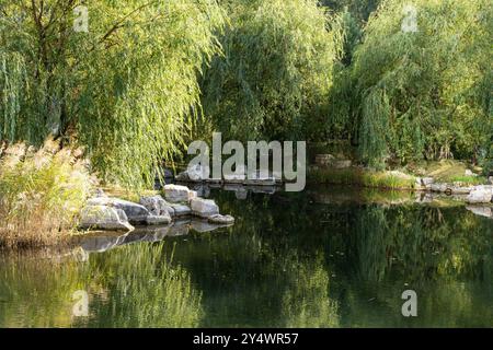 A pond in a Chinese park with a rock garden and weeping willows reflected in the water. Beautiful summer landscape, place to relax. High quality photo Stock Photo