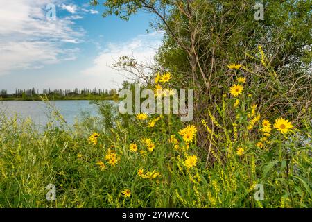 A wetlands pond at FortWhyte Alive, Winnipeg, Manitoba, Canada. Stock Photo