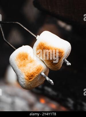 marshmallows roasting over open fire with ashes Stock Photo