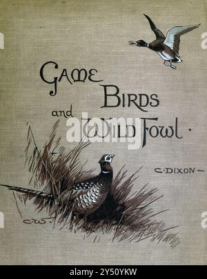 Book cover rom The Game Birds and Wild Fowl of The British Islands, by Charles Dixon, illustrated by Charles Whymper. [Pawson & Brailsford, Sheffield, 1900] Stock Photo