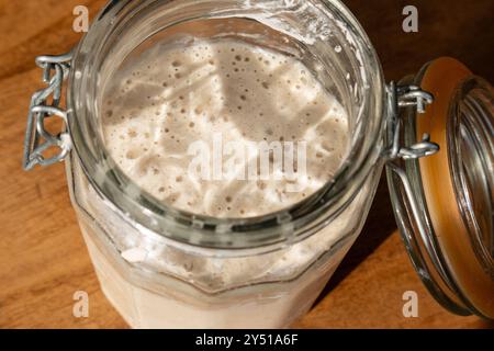 Sourdough starter or leaven, living yeast rising and bubbling in a clear glass storage jar Stock Photo