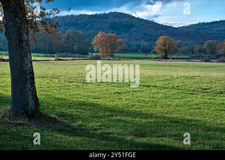 A peaceful rural landscape with green grass fields and scattered autumn trees, set against a backdrop of rolling hills and a cloudy sky. Vitoriano, Ar Stock Photo