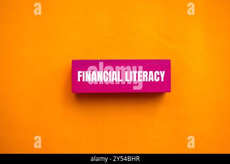 Financial literacy message written on pink wooden block with orange background. Conceptual financial literacy symbol. Copy space. Stock Photo