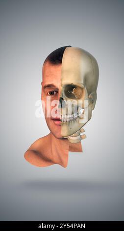 Half skull and face anatomy medical concept Stock Photo