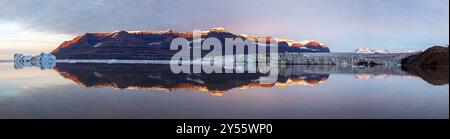 A panorama of Vikinge Bay at sunset, showing icebergs, mountains, a glacier, and polar bears on the moraine to the right. In Scoresby Sund, Greenland Stock Photo