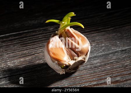 garlic on black wood background Stock Photo