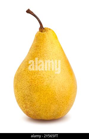 yellow pears path isolated on white Stock Photo