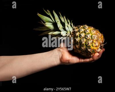 pineapple in hand on black background Stock Photo