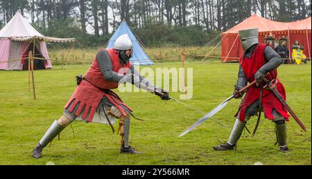 Re-enactors in Medieval costume reenact a fight with swords, East Lothian, Scotland, UK Stock Photo