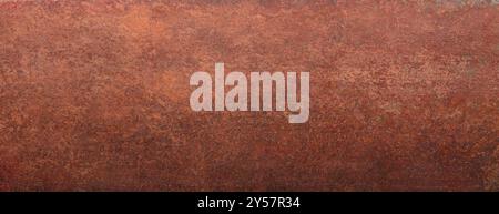 weathered iron surface, panoramic background. rusty metal texture Stock Photo