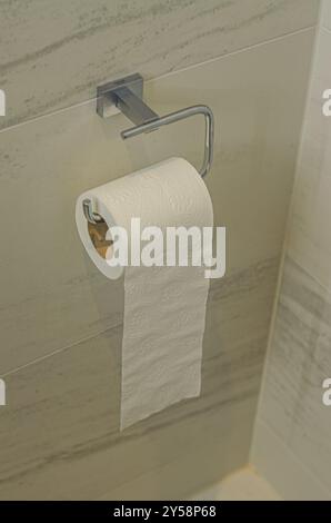 Roll of toilet paper on a shiny holder hanging of a gray wall. High quality photo Stock Photo