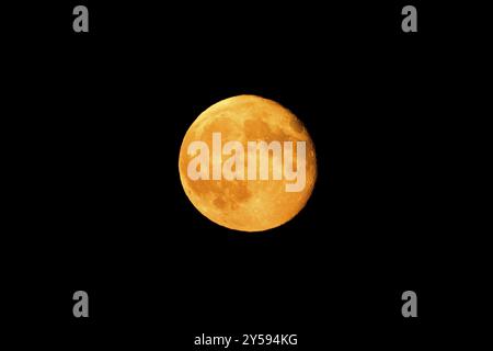 Bright orange full moon against a black night sky, super moon, Stuttgart, Baden-Wuerttemberg, Germany, Europe Stock Photo