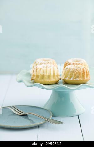 Mini bundt cakes with icing sugar on a cake stand Stock Photo