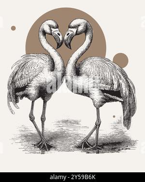 Vintage engraving style vector illustration of a couple of flamingoes Stock Vector