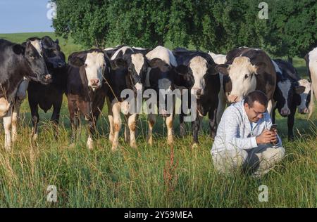 Funny image with a man looking in its smart-phone and a bunch of Holstein cows gathered behind him and looking over his shoulders, in Germany Stock Photo