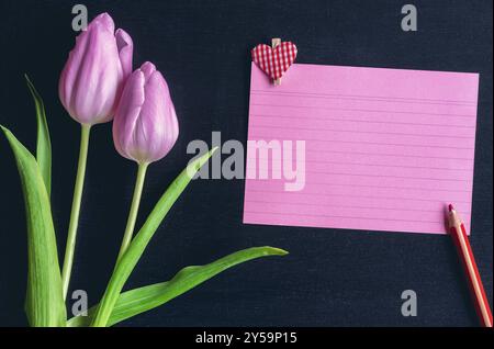 Greeting card idea with pink tulips a red notebook sheet with stripes, a wooden pencil and a wooden clip with a heart on it, on a black background Stock Photo