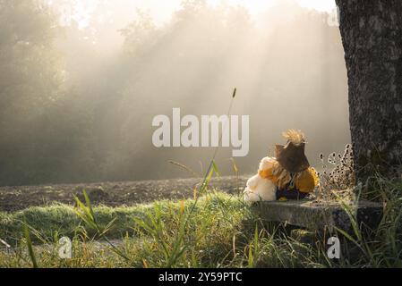 Friendship theme image with a teddy bear and a little scarecrow embraced, on a wooden bench under a tree enjoying the morning mist and sun rays over a Stock Photo