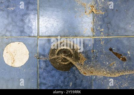 Old light switch with cobwebs Stock Photo