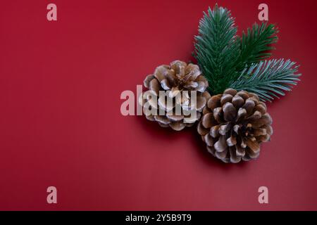 Two brown pine cones and a green evergreen sprig are arranged  at the right on a red background. Stock Photo