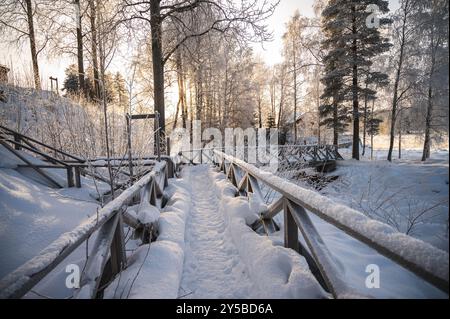 Winter Christmas Landscape with snowy Trees and Calm Winter River. Winter Forest On The River At Sunset. Stock Photo