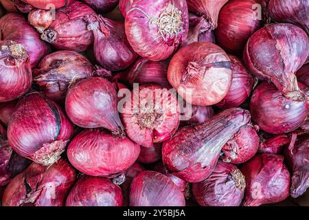 Red onions close up on a farmers market Stock Photo