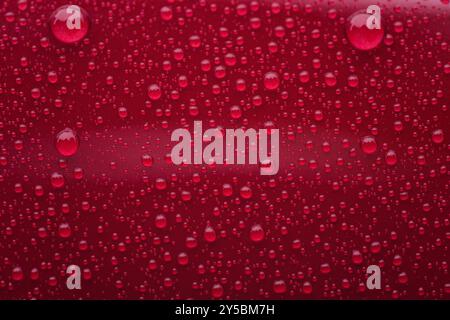 Closeup waterdrops on red ceramic coated paint surface Stock Photo