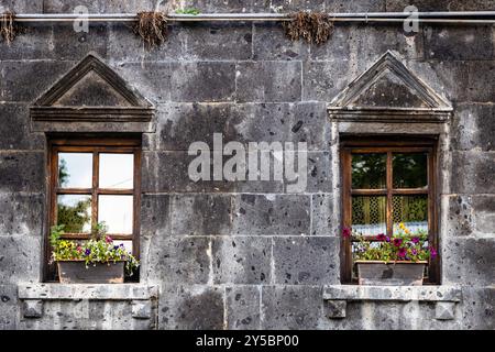 two windows with flowers in old residential house from black tuff stone in Gyumri city, Armenia in summer Stock Photo