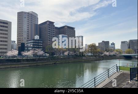 Motoyasu river in spring, blooming cherry trees at riverbanks. Hiroshima Peace memorial park Stock Photo