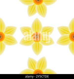 Flowers of a daffodil on a white background, seamless pattern. Stock Vector