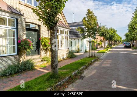 Linden avenue in Arnis. With fewer than 300 inhabitants, it is the smallest town in Germany in terms of population and the smallest in terms of area at 0.45 km² and is located on a peninsula in the Schlei. Impressions of Arnis, the smallest town in Germany, Fährweg, Kappeln-Land, Schleswig-Holstein, Germany Stock Photo