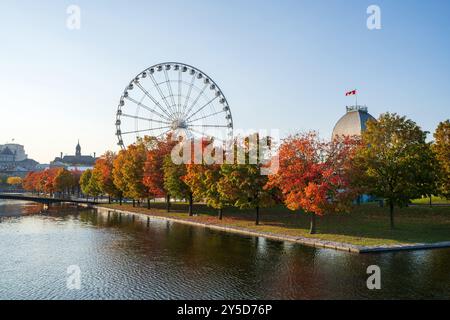 Old Port of Montreal in autumn. Red maples and old Montreal skyline reflected on St. Lawrence River. Fall foliage season in Montreal, Quebec, Canada. Stock Photo