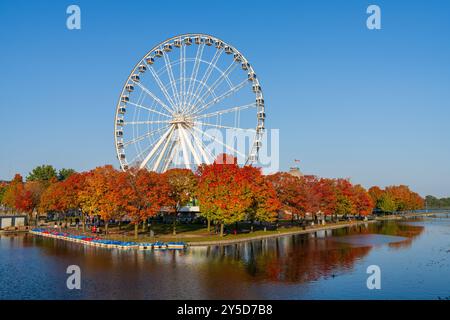 Old Port of Montreal in autumn. Red maples and old Montreal skyline reflected on St. Lawrence River. Fall foliage season in Montreal, Quebec, Canada. Stock Photo