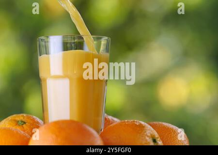 orange juice pouring from jug into glass standing in pile of fruits on green natural background. Summer refreshing drink Stock Photo