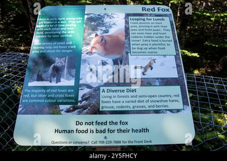 Information sign on red fox at Salmonier Nature Park on NL 90 in Holyrood, Newfoundland & Labrador, Canada Stock Photo