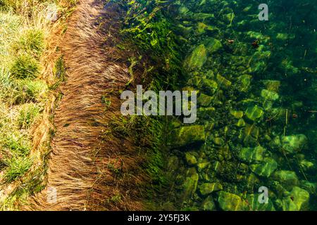 Abstract design created by sea grasses and green water, rocks beneath the surface. Texture, fluid motion, yellows, browns and greens. Stock Photo