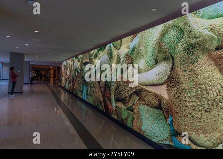 New York, New York, USA. 19th Sep, 2024. View of AI-powered immersive art installation called Large Nature Model: Coral during media presentation at UN Headquarters in New York. AI-generated immersive installation offers view of coral reefs of our oceans. (Credit Image: © Lev Radin/Pacific Press via ZUMA Press Wire) EDITORIAL USAGE ONLY! Not for Commercial USAGE! Stock Photo