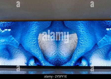 New York, New York, USA. 19th Sep, 2024. View of AI-powered immersive art installation called Large Nature Model: Coral during media presentation at UN Headquarters in New York. AI-generated immersive installation offers view of coral reefs of our oceans. (Credit Image: © Lev Radin/Pacific Press via ZUMA Press Wire) EDITORIAL USAGE ONLY! Not for Commercial USAGE! Stock Photo