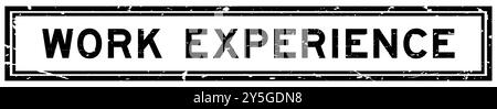 Work Experience Rubber Stamp Seal Vector Stock Vector Image & Art - Alamy