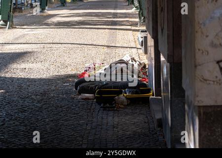 Ein Obdachloser schläft unter dem Hochbahnviadukt der U-Bahn auf der Schönhauser Allee in Berlin-Prenzlauer Berg. / A homeless man sleeps under the elevated subway viaduct on Schönhauser Allee in Berlin-Prenzlauer Berg. Obdachlosigkeit in Berlin *** A homeless man sleeps under the elevated subway viaduct on Schönhauser Allee in Berlin Prenzlauer Berg A homeless man sleeps under the elevated subway viaduct on Schönhauser Allee in Berlin Prenzlauer Berg Homelessness in Berlin sp202409018522.jpg Stock Photo