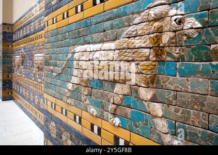 Berlin, Germany, July 24 2009, Glazed ceramic lions display ancient artistry from Babylon’s Ishtar Gate, housed in Berlin's Pergamon Museum. Stock Photo