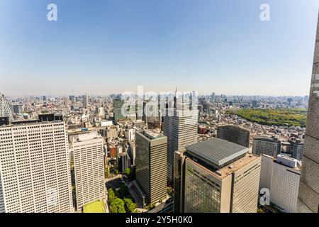 High rise office blocks and Tokyo skyline seen from the observation floor of the Metropolitan building. Shinjuku NS Building and Gyoen National Garden Stock Photo