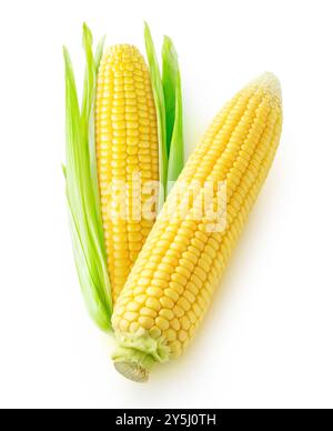 Two yellow corn cobs isolated on white background Stock Photo
