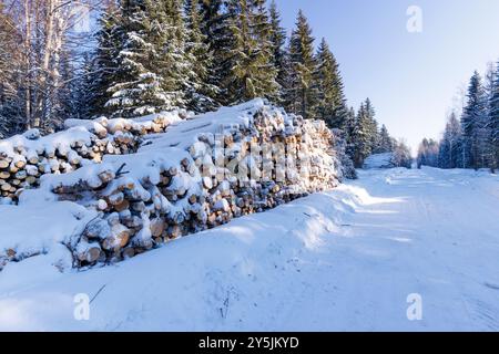Log piles stored along logging road at Winter, Finland Stock Photo